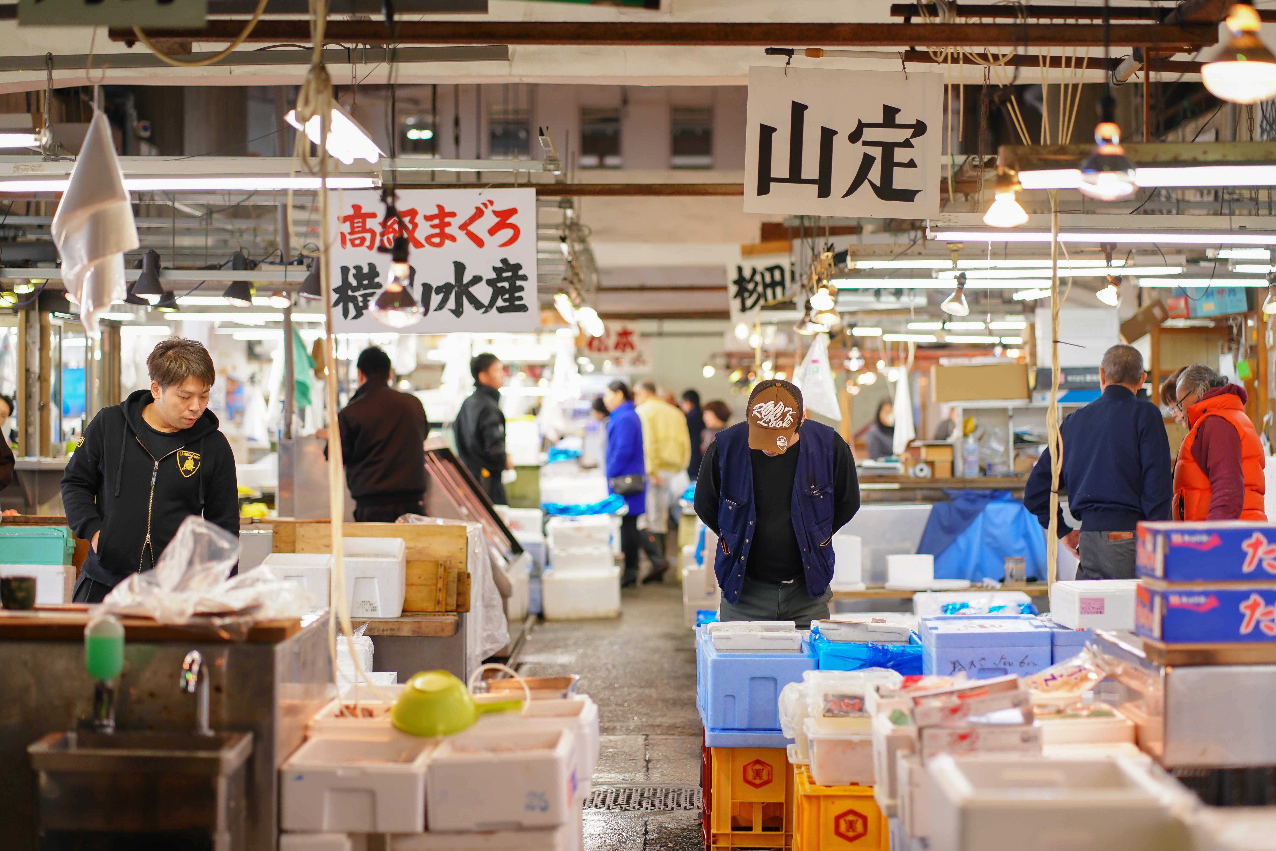 🐟 도쿄도 중앙 도매 시장 아다치 시장 (도쿄토 주오오로시우리시조 아다치시조) 이미지 6
